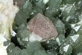 Hedenbergite Quartz With Pink Fluorite Octahedrals - Mongolia #173037-6